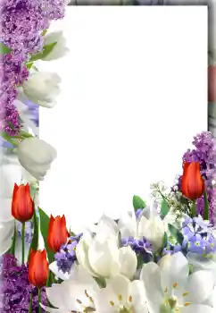 श्रेणी से फ़ोटो प्रभाव महिलाओं के फोटो फ्रेम № 127300