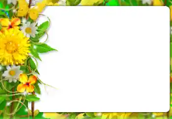 श्रेणी से फ़ोटो प्रभाव महिलाओं के फोटो फ्रेम № 127303