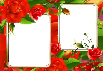 श्रेणी से फ़ोटो प्रभाव महिलाओं के फोटो फ्रेम № 128335