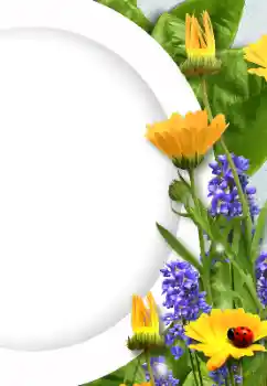 श्रेणी से फ़ोटो प्रभाव महिलाओं के फोटो फ्रेम № 128372