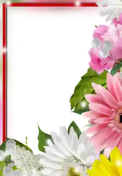 श्रेणी से फ़ोटो प्रभाव महिलाओं के फोटो फ्रेम № 128553