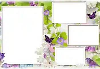 श्रेणी से फ़ोटो प्रभाव महिलाओं के फोटो फ्रेम № 129851