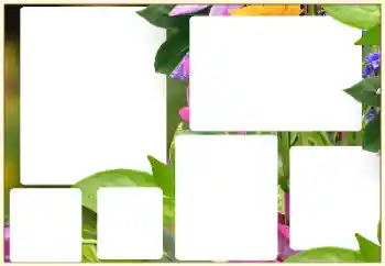 श्रेणी से फ़ोटो प्रभाव महिलाओं के फोटो फ्रेम № 129852