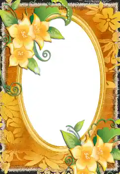 श्रेणी से फ़ोटो प्रभाव महिलाओं के फोटो फ्रेम № 130678