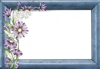 श्रेणी से फ़ोटो प्रभाव महिलाओं के फोटो फ्रेम № 130781