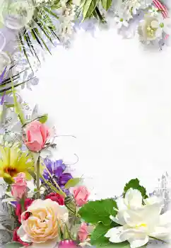 श्रेणी से फ़ोटो प्रभाव महिलाओं के फोटो फ्रेम № 131210