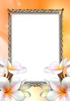 श्रेणी से फ़ोटो प्रभाव महिलाओं के फोटो फ्रेम № 131367