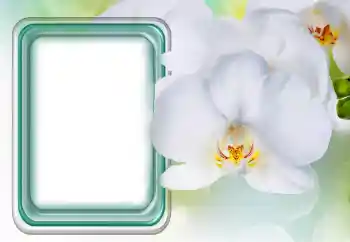 श्रेणी से फ़ोटो प्रभाव महिलाओं के फोटो फ्रेम № 131485