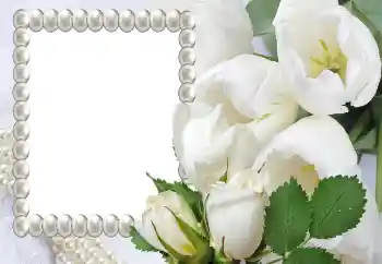 श्रेणी से फ़ोटो प्रभाव महिलाओं के फोटो फ्रेम № 131817