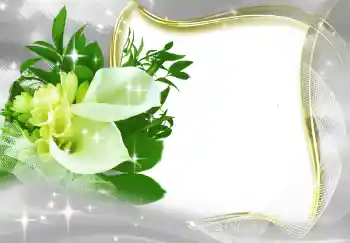 श्रेणी से फ़ोटो प्रभाव महिलाओं के फोटो फ्रेम № 131819