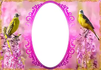 श्रेणी से फ़ोटो प्रभाव महिलाओं के फोटो फ्रेम № 132879