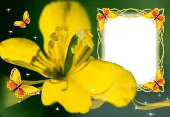 श्रेणी से फ़ोटो प्रभाव महिलाओं के फोटो फ्रेम № 132883