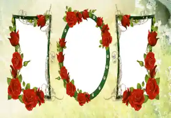 श्रेणी से फ़ोटो प्रभाव महिलाओं के फोटो फ्रेम № 133020