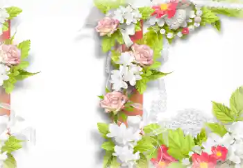 श्रेणी से फ़ोटो प्रभाव महिलाओं के फोटो फ्रेम № 133085