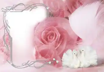 श्रेणी से फ़ोटो प्रभाव महिलाओं के फोटो फ्रेम № 133313