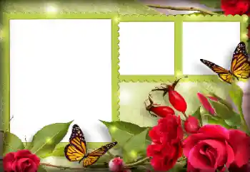 श्रेणी से फ़ोटो प्रभाव महिलाओं के फोटो फ्रेम № 134497