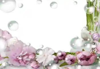 श्रेणी से फ़ोटो प्रभाव महिलाओं के फोटो फ्रेम № 139757