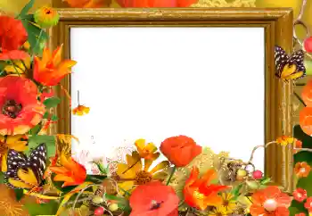 श्रेणी से फ़ोटो प्रभाव महिलाओं के फोटो फ्रेम № 139911