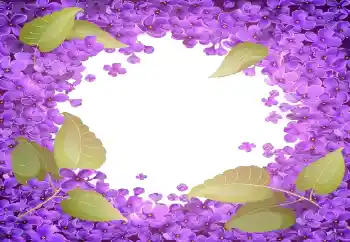 श्रेणी से फ़ोटो प्रभाव महिलाओं के फोटो फ्रेम № 141055