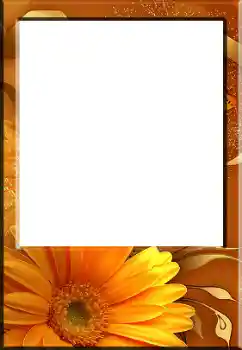 श्रेणी से फ़ोटो प्रभाव महिलाओं के फोटो फ्रेम № 141132