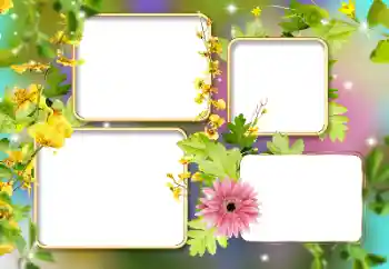 श्रेणी से फ़ोटो प्रभाव महिलाओं के फोटो फ्रेम № 141134