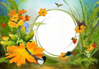 श्रेणी से फ़ोटो प्रभाव महिलाओं के फोटो फ्रेम № 142333