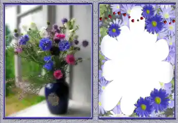 श्रेणी से फ़ोटो प्रभाव महिलाओं के फोटो फ्रेम № 142378