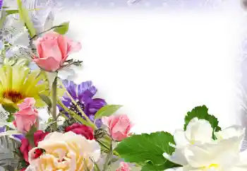 श्रेणी से फ़ोटो प्रभाव महिलाओं के फोटो फ्रेम № 142430