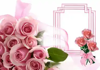 श्रेणी से फ़ोटो प्रभाव महिलाओं के फोटो फ्रेम № 143506