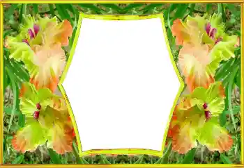 श्रेणी से फ़ोटो प्रभाव महिलाओं के फोटो फ्रेम № 143517