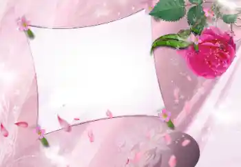 श्रेणी से फ़ोटो प्रभाव महिलाओं के फोटो फ्रेम № 143586