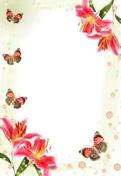 श्रेणी से फ़ोटो प्रभाव महिलाओं के फोटो फ्रेम № 143606