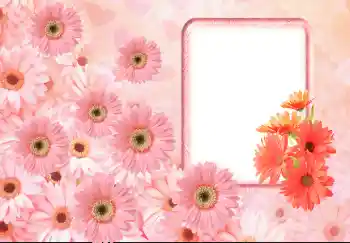 श्रेणी से फ़ोटो प्रभाव महिलाओं के फोटो फ्रेम № 143633