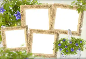 श्रेणी से फ़ोटो प्रभाव महिलाओं के फोटो फ्रेम № 143738