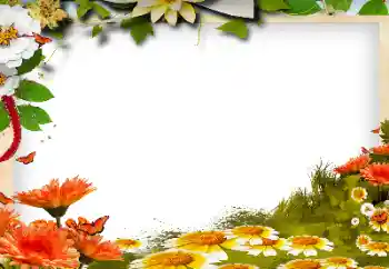 श्रेणी से फ़ोटो प्रभाव महिलाओं के फोटो फ्रेम № 143768