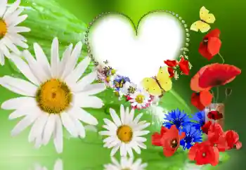 श्रेणी से फ़ोटो प्रभाव महिलाओं के फोटो फ्रेम № 143780