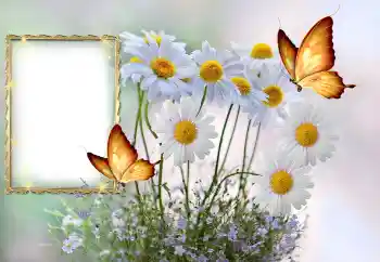 श्रेणी से फ़ोटो प्रभाव महिलाओं के फोटो फ्रेम № 145117