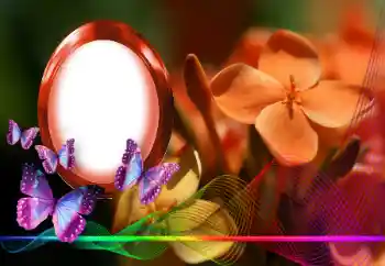 श्रेणी से फ़ोटो प्रभाव महिलाओं के फोटो फ्रेम № 146254