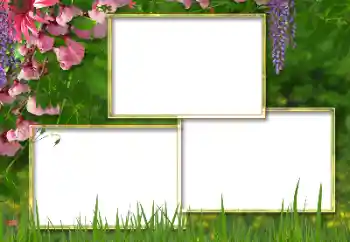 श्रेणी से फ़ोटो प्रभाव महिलाओं के फोटो फ्रेम № 146298