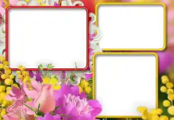 श्रेणी से फ़ोटो प्रभाव महिलाओं के फोटो फ्रेम № 146392