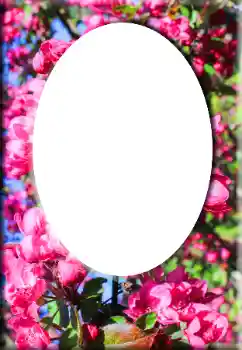 श्रेणी से फ़ोटो प्रभाव महिलाओं के फोटो फ्रेम № 147641