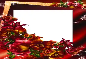 श्रेणी से फ़ोटो प्रभाव महिलाओं के फोटो फ्रेम № 147688