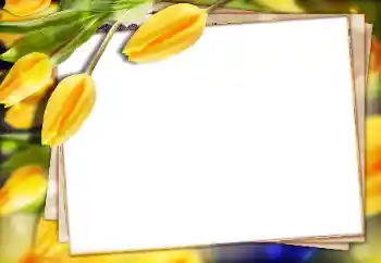 श्रेणी से फ़ोटो प्रभाव महिलाओं के फोटो फ्रेम № 147770