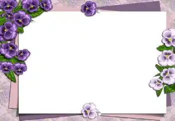 श्रेणी से फ़ोटो प्रभाव महिलाओं के फोटो फ्रेम № 149194