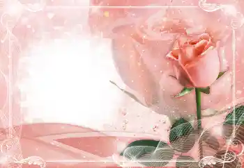 श्रेणी से फ़ोटो प्रभाव महिलाओं के फोटो फ्रेम № 149224