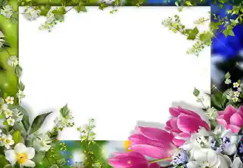 श्रेणी से फ़ोटो प्रभाव महिलाओं के फोटो फ्रेम № 149325