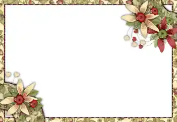 श्रेणी से फ़ोटो प्रभाव महिलाओं के फोटो फ्रेम № 150542