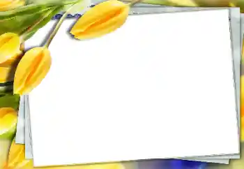 श्रेणी से फ़ोटो प्रभाव महिलाओं के फोटो फ्रेम № 150591