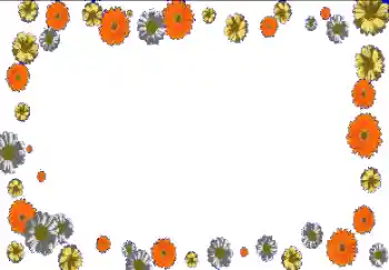 श्रेणी से फ़ोटो प्रभाव महिलाओं के फोटो फ्रेम № 150630