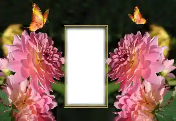 श्रेणी से फ़ोटो प्रभाव महिलाओं के फोटो फ्रेम № 150649